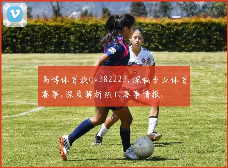 易博体育找qv382223,探秘专业体育赛事,深度解析热门赛事情报,