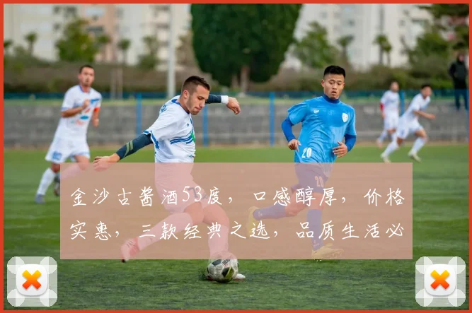 金沙古酱酒53度，口感醇厚，价格实惠，三款经典之选，品质生活必备，尊享价格大揭秘，一触即达