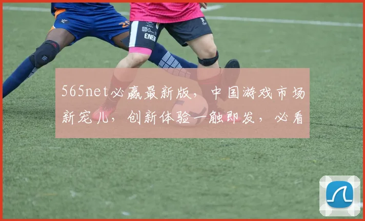 565net必赢最新版，中国游戏市场新宠儿，创新体验一触即发，必看攻略