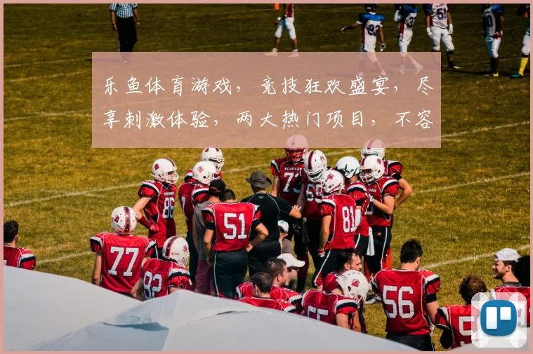 乐鱼体育游戏，竞技狂欢盛宴，尽享刺激体验，两大热门项目，不容错过