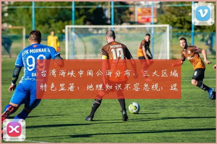 台湾海峡中间公海分布，三大区域特色显著，地理知识不容忽视，逗逗逗